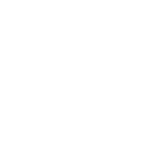 West Fargo Events WFE white circle logo