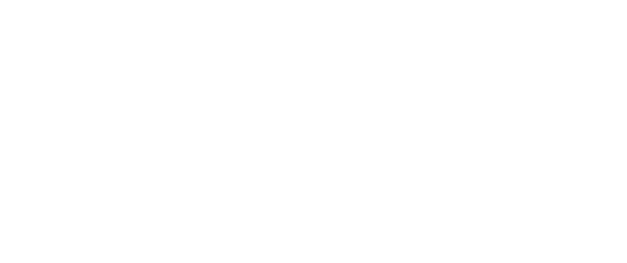 The Wave_Water Park Resort_Logo_White