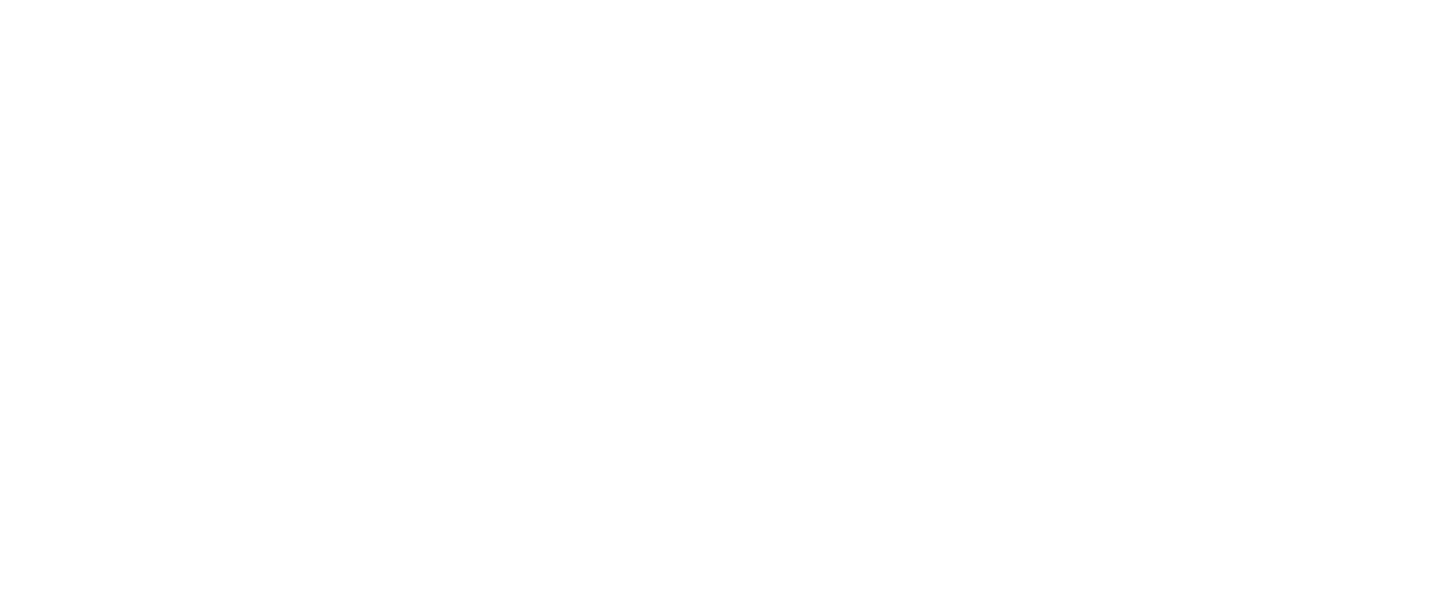 The Wave_WaterPark Resort_Logo_White